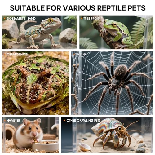 Image of MYGIIKAKA Jumping Spider Enclosure Accessories, Tarantula Spider Box, Bug Cage, Praying Mantis Habitat Enclosure, Snail Insect Terrarium, Caterpillar Habitat (6x6x12 inch)