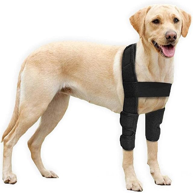 LetsDressUp Codera para perro - Almohadillas protectoras para codo y hombro canino Higroma de codo…