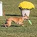 Hyperflite Pup Jawz Dog Flying disc • World's Toughest Canine Competition-Approved Flying disc • Best Competition Flying disc Toy for Pets • Puncture Resistant • 7 Inch • Lemon-Lime