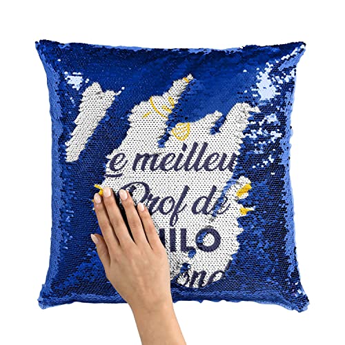 Coussin de Philo à Paillettes déco de bureau enseignant lycée
