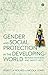 Gender and Social Protection in the Developing World: Beyond Mothers and Safety Nets