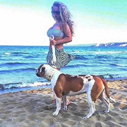 Bestia ™ "General" Collar De Cuero Para Perros Grandes. 2.5 Pulgadas De Anchura. Diseños Intercambiables! Acolchado Suave. ¡Hecho A Mano! - España