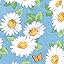 Daisy
