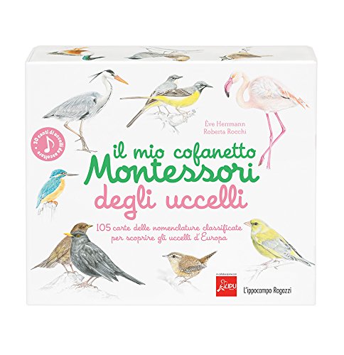 Il mio cofanetto Montessori degli uccelli Il mio cofanetto Montessori degli uccelli
