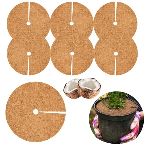 Homefantasy 6 Pezzi Pacciamatura Cocco, Stuoia di Cocco 30cm, Fibra di Cocco Proteggi Piante,Piante Fibre Cocco Pacciamatura,Disco Cocco,per Piante in Vaso,Protezione Antigelo