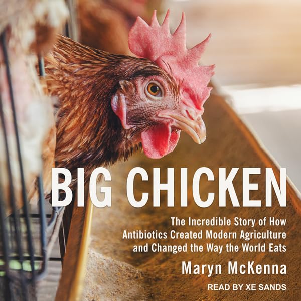 Cover art for Big Chicken