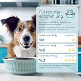 Dr. SAM wufit Dogs Tabletten – Ergänzungsfuttermittel zur Unterstützung der Magen-Darm-Funktion nach exklusiver Tierarzt-Rezeptur, für Hunde ab 40kg (1-Monatspackung)