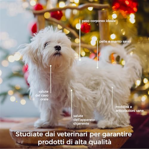 Adventskalender: Natürliche Hundekekse Apfel, Kokosnuss und Mandeln | Lecker, gesunder und weihnachtlicher Hundesnack | Erleben Sie die Magie von Weihnachten mit Ihrem Hund | 24 Stück - 70 g | Hygge