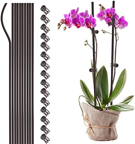 GSWPIP 10Pcs Plant Support Stakes with 15 Pcs Plant Clips, 24inch Tall Single Stem Flower Stakes Bendable Plant Sticks for Indoor Plants Orchid Clips and Stakes for Planting Climbing