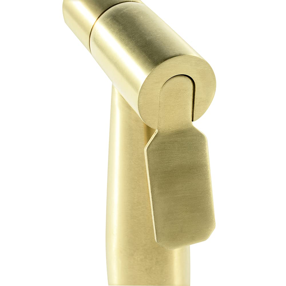 Spruzzatore Per Bidet Tenuto In Mano, Oro Spazzolato Bidet Bagno Doccia a Mano 304 Acciaio inossidabile Bidet Spruzzatore Igienico Rubinetto Bidet Per Doccia Parete Singolo freddo Bidet Rubinetto