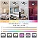 GDLUOAO Socket Fan Light with Remote, Socket Breeze Ceiling Fan with Bluetooth Speaker, RGB, 3 Colors, 3 Fan Speed, 18.5