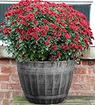 SG Traders Large Round Plastic Beijing Barrel Garden Plant Pot Planter Half Barrels Tub Container Outdoor Herb Patio Pot Tub With Drainage Holes Silver Large Plant Pots Half Barrel D-52cm, H-38cm