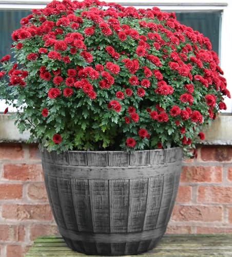 SG Traders Large Round Plastic Beijing Barrel Garden Plant Pot Planter Half Barrels Tub Container Outdoor Herb Patio Pot Tub With Drainage Holes Silver Large Plant Pots Half Barrel D-52cm, H-38cm