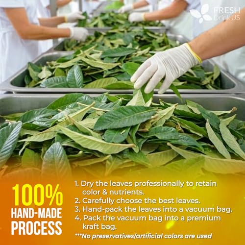 Image of FreshDrinkUS, Premium 8oz Loquat Leaves | Dried Loquat Loose Leaf Tea | Eriobotrya japonica | Naturally Dried, Cut & Sifted | Herbal Tea Ingredient. Sugar-Free. Caffeine-Free. Vegan