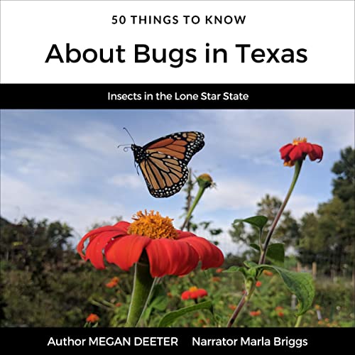 50 Things to Know About Bugs in Texas by Megan Deeter episode artwork