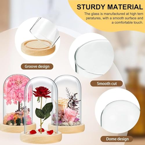 Cloche en verre pour objets de collection pour protéger de la poussière - 8