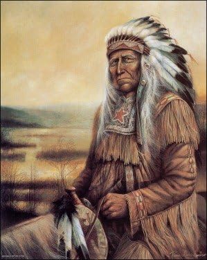 DSC Native American Indian Untold Wisdom - Paper Tole 3D Decoupage Craft Kit Size 8x10 inches K8-8006 (The Additional Pictures Show Examples This Craft Kit Assembled & Framed in Shadow Box Frame)