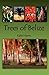 Trees of Belize