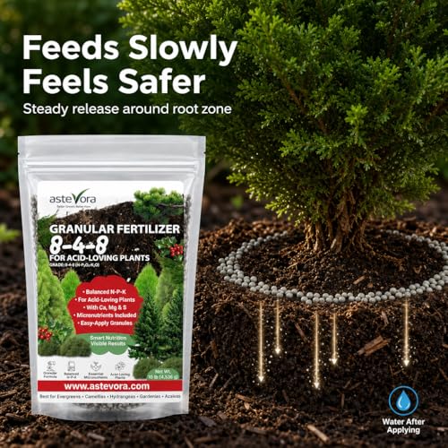Image of ASTEVORA Evergreen Fertilizer - All-Purpose Granular Plant Food for Outdoor Trees and Shrubs, Azaleas, Magnolias, Pines & Arborvitae - Slow-Release Formula (4 quarts)