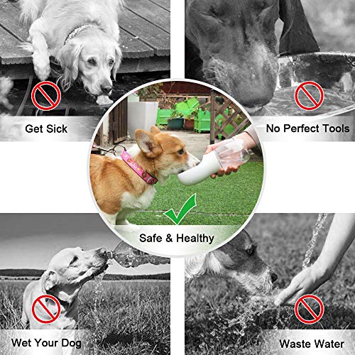 qqpets dog water bottle