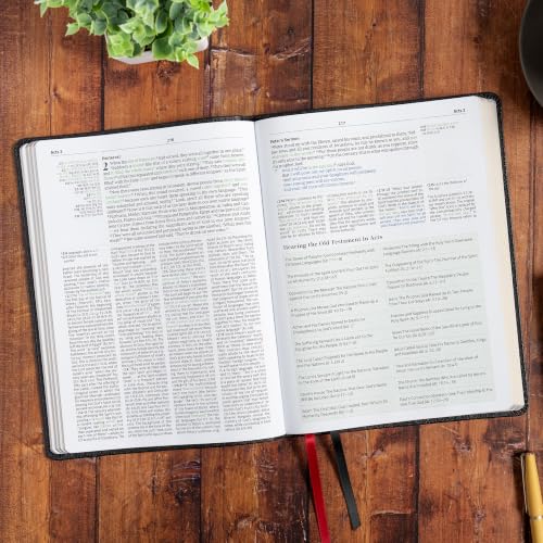 Image of CSB Connecting Scripture New Testament, Black Genuine Leather: A Study Bible of Biblical Allusions and Quotations