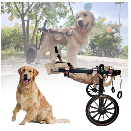 Silla de ruedas para perros ajustable, ideal para paseos y soporte en patas traseras