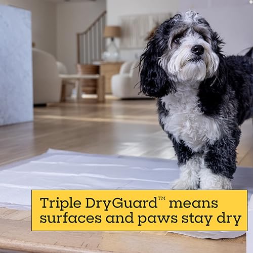 Image of Pet Life Unlimited Heavy Duty 3XL Puppy Pads for Dogs, Potty Training Pee Pads, 52 Count, 36 inch x 36 inch, Leak-Proof, Super Absorbent, Quick-Dry, Odor Control Clover Leaf Scent, Made in USA