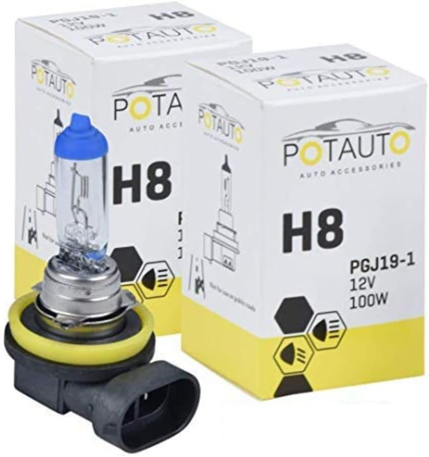 Potauto H8 STANDARD Head Light Halogen Bulb For Car, 12V 100W - PGJ19-1 | 3200K | Pack of 2