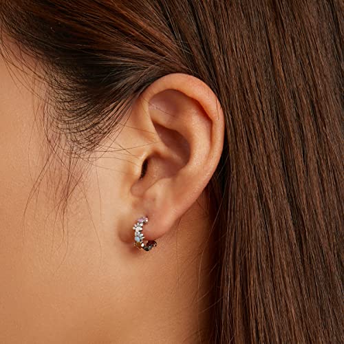 Dog Cat Paw Earrings Sterling Silver 925 - Shysnow Cute Pet Puppy Paws Print Colorful Enamel Heart Footprint Animal Small Huggie Hoop Earrings for Women Girls Animal Lovers2