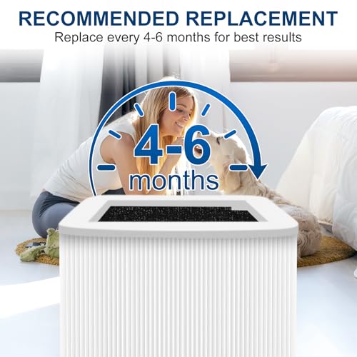 Image of 211+ Replacement Filter Compatible with Blue Pure 211+ Air Purifier | 2 Stage Filtration System of High-Efficiency Filter and Activated Carbon Filter, Removes Particles & Odors, 1 Pack