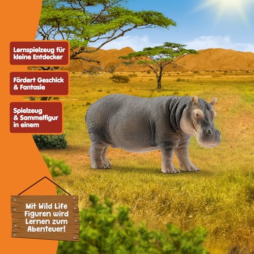 SCHLEICH WILD Life | Flusspferd 14814 | detailgetreue Tierfiguren | Zoo Spielzeug | tolles Geschenk für Jungen und Mädchen | Deko für Geburtstag | Spielfigur ab 3 Jahren | 13 x 5 x 6 cm