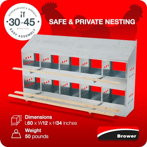 Brower 2-Tier 10-Hole Galvanized Steel Chicken Nesting Box, 50 to 60 Hen Capacity – Outdoor Poultry Laying Station with Hinged Folding Perches, Ventilated Design & Slanted Roof – Made in the USA