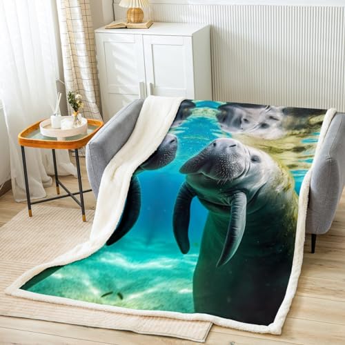 jejeloiu Manatee t[XX[uPbg NC[ 90C`x90C` LbY Cm vbVuPbg xbh \t@ JE`  C  VFp uPbg 킢 킢 ӂӂ uPbg ̑