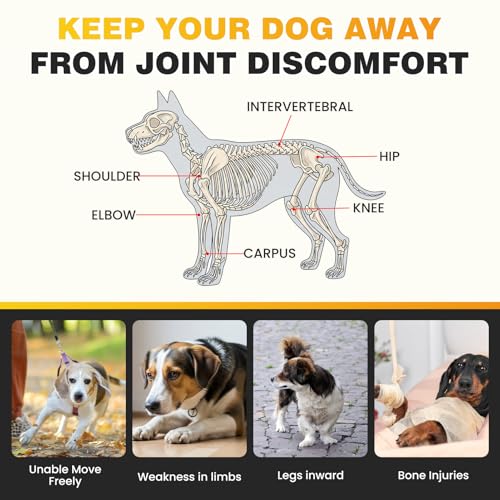 DANQAN Gelenktabletten Hund Arthrose Knochenschutz Tabletten Mit Hund Glucosamin Chondroitin Joint UnterstüTzt Die Gelenke Knochen FüR Bewegungsfreiheit FlexibilitäT 400g Huhn