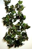 5 x 2,70 m Wein Blättergirlande Eine sehr schöne Girlande (Seil) mit Blättern. Die Länge der Girlande beträgt 270 cm. Schöne, natürlich aussehende Blätter. Preis für 5 Einzelseile. Das Bild enthält 5 Teile (sie können getrennt werden).