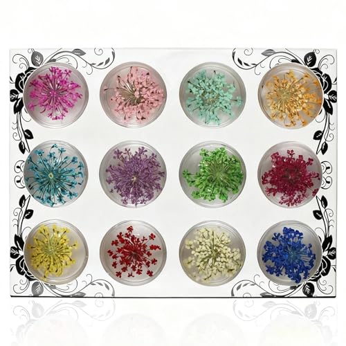 WJUAN 12 Colores Flor Seca Arte de Uñas, Pegatinas de Uñas Flores con Caja Transparente, Caja Flor Secada de Uñas, para Joyas, Fundas de Teléfonos, álbumes de Recortes