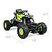 COLORTREE Electric RC Car 1:16 Remote Control Vehicle 2.4Ghz Off-Road Rock Crawler All Terrain Double-Turn Waterproof Truck for Kids