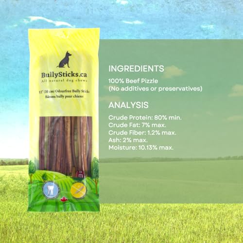 ODOURFREE 12" Standard Bully Sticks for Dogs (10 Pack) Dental Chew - Rawhide Free - Supports Dental Hygiene - Single Beef Ingredient - No additives - Consistent Size - Canadian Com image 5