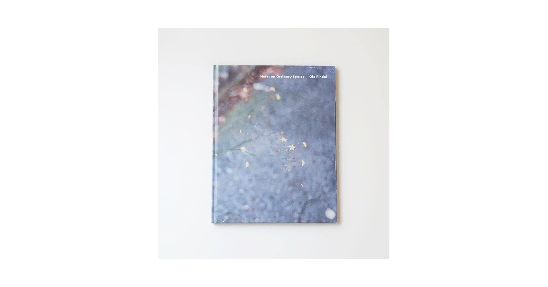 Amazon.co.jp: Ola Rindal 写真集 Notes on Ordinary Spaces