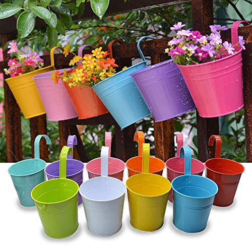 Trongle Flower Pots Outdoor, 10 PACKS Metal Iron Hanging Plant Pots with Detachable Handle, Indoor Plant Pots with Drainage Holes Colorful Plant Pots Outdoor for Garden Balcony and Home Decor, M