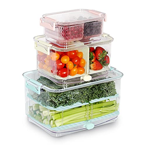 How To Choose The Best Containers To Store Vegetables In Fridge
