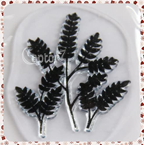 Knorr Prandell 1 Sello acrílico transparente Stamp Plantas Scrapbooking Scrap Clear Stamps 4 cm
