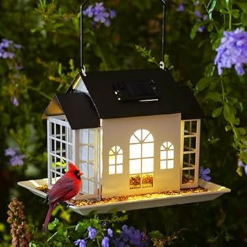 Bird Feeder with Suet Holder - Which One Will Attract the Most Birds? 2 bird feeder with suet holder