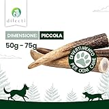 Dilecti B0C4F85BK2 lato 2