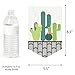Big Dot of Happiness Prickly Cactus Party - Fiesta Birthday Party Bunting Banner - Birthday Party Decorations - Happy Birthday