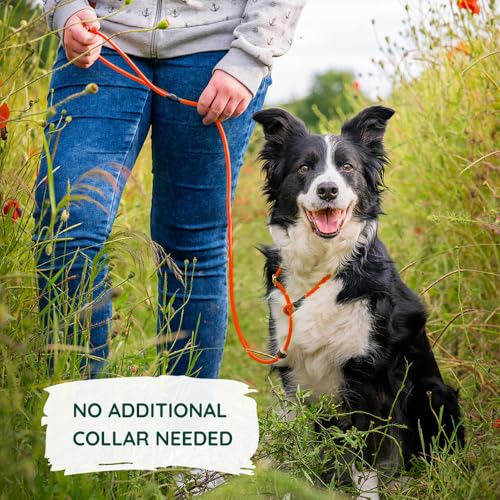 Romneys Moxon-Leine Biothane Neon Pro – handgefertigt in Deutschland, wasserfeste Trainings- & Jagdleine in Neon, robust & wetterfest, Länge 130 cm x 6 mm (Neon-Orange)