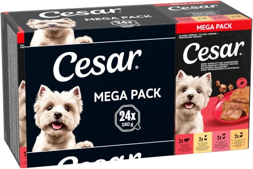 Cesar Klassik-Terrine Adult Multipack 24 x 150g Schale Stückchen in Pastete mit Rind & Leber/Huhn & Truthahn/Geflügel/Huhn & Rind