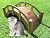 SamsGazebos Miniature Japanese Wood Garden Bridge, Treated, Assembled, 25" Long X 11" Tall X 11-1/2" Wide, Made in USA