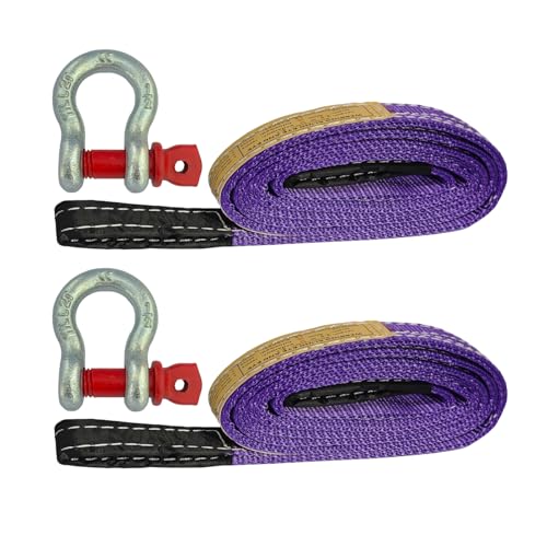 HENBOW Web Sling with D Ring Shackle,8FT× 1In Heavy Duty Flat Lift Sling 8800 lbs Capacity，Lift Sling Straps for Hoist Car Tree Saver Winch Recovery