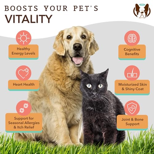 Natural Dog Company Coldwater Atlantic Salmon Oil for Dogs (16oz) – Senior Dog Fish Oil Supplement with Omega 3, Easy to digest for Senior Dog Fish Oil, Liquid Dog fish oil Joint Support Supplement Natural Dog Company Coldwater Atlantic Salmon Oil for Dogs (16oz) – Senior Dog Fish Oil Supplement with Omega 3, Easy to digest for Senior Dog Fish Oil, Liquid Dog fish oil Joint Support Supplement